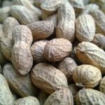 nuts-super-food